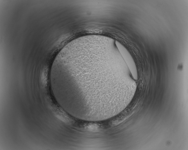 X0000116560600201001211224