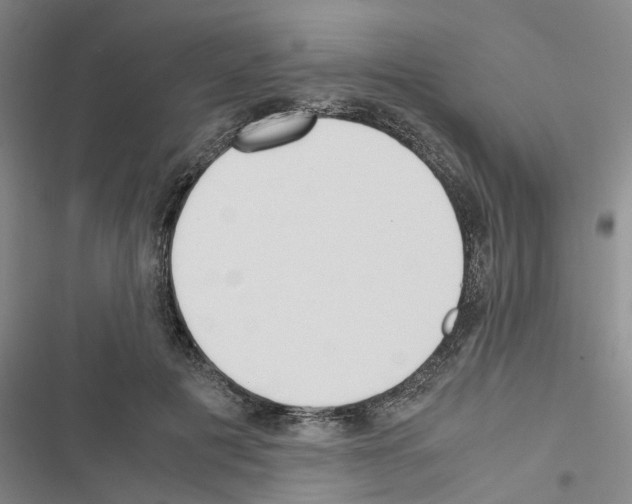 X0000116560601201001211224