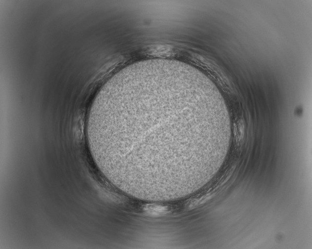 X0000116560602201001211224