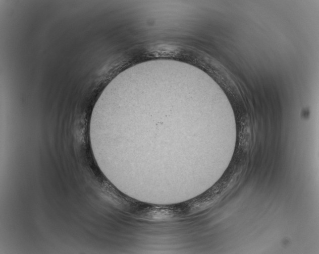 X0000116560604201001211224