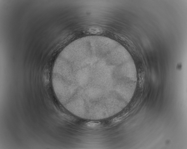 X0000116560606201001211224