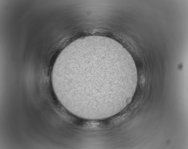 X0000116560607201001211224