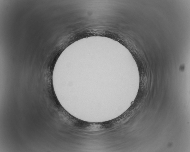 X0000116560609201001211224
