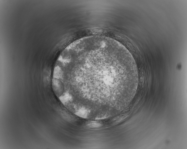 X0000116560610201001211224