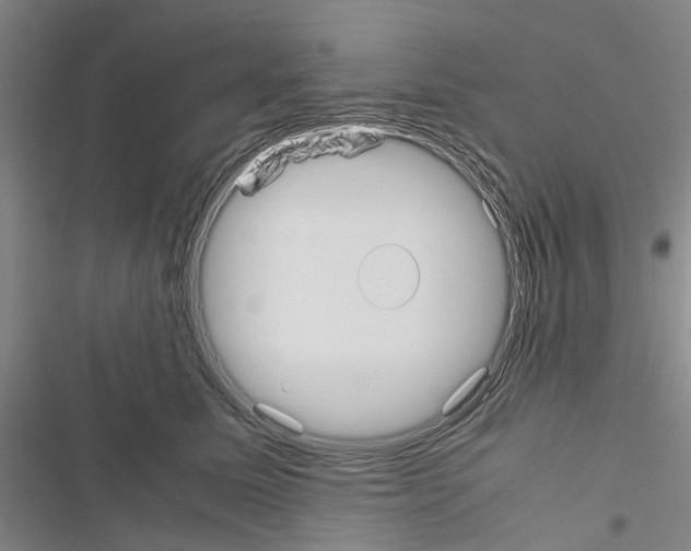 X0000116560611201001211224