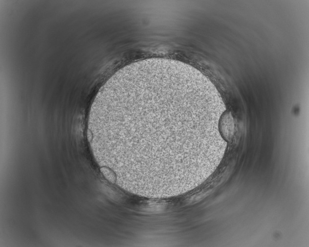 X0000116560612201001211224