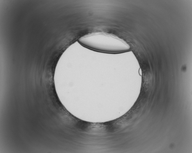 X0000116560617201001211224