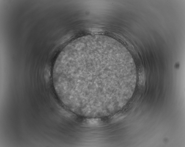 X0000116560618201001211224