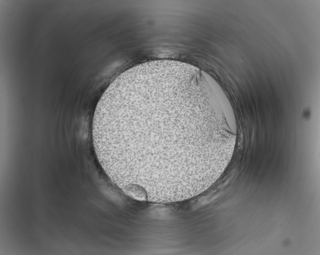 X0000116560620201001211224