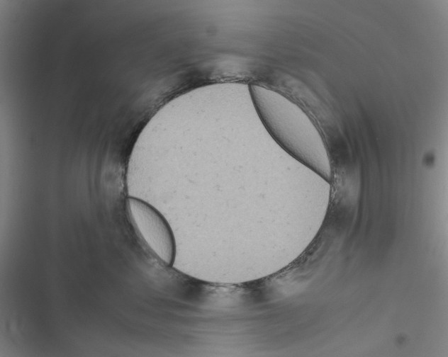 X0000116560621201001211224