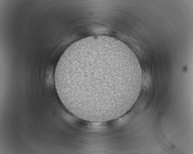 X0000116560622201001211224