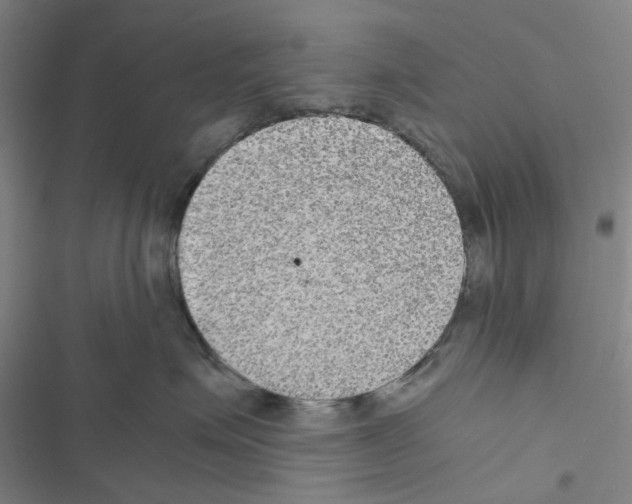 X0000116560623201001211224