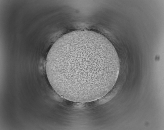 X0000116560624201001211224