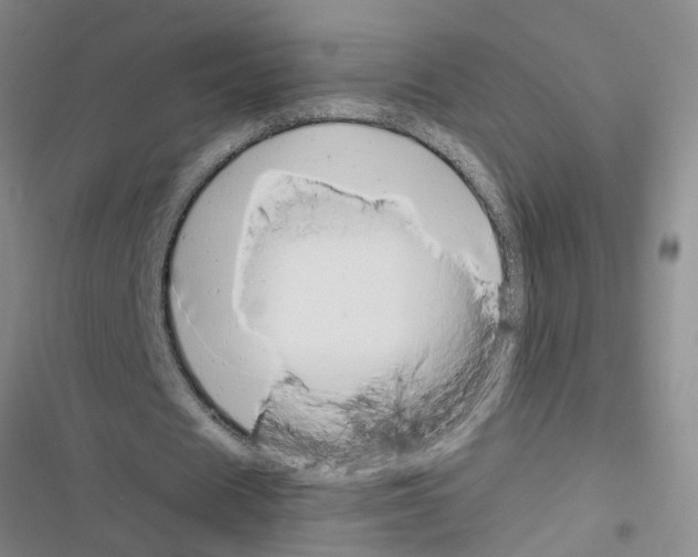 X0000116560625201001211223
