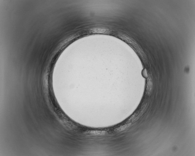 X0000116560626201001211223