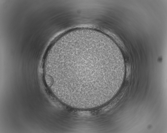 X0000116560628201001211223