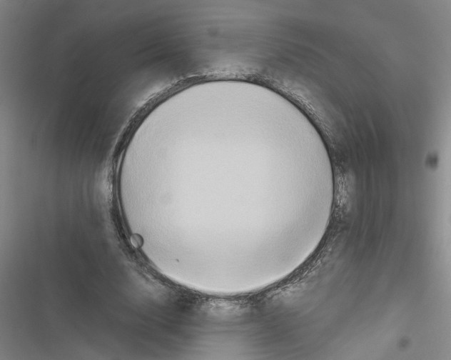 X0000116560632201001211223
