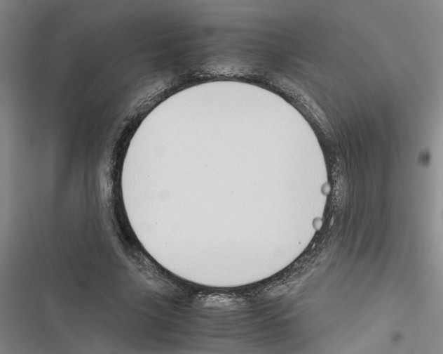 X0000116560635201001211223