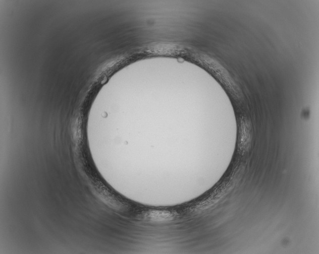 X0000116560636201001211223