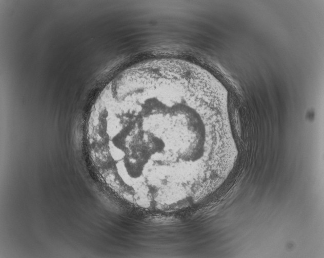 X0000116560637201001211223