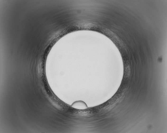 X0000116560638201001211223