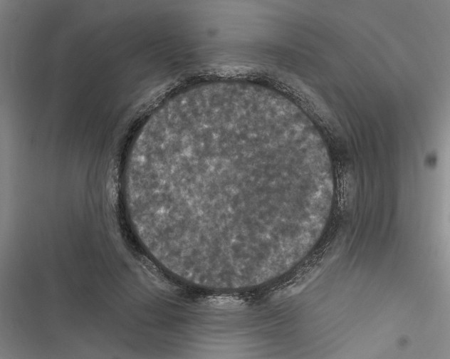 X0000116560644201001211223