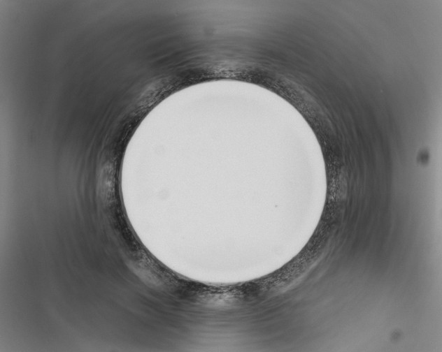 X0000116560646201001211223