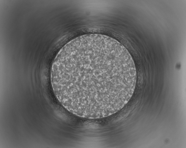 X0000116560648201001211223