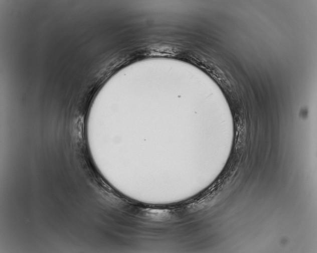 X0000116560649201001211223