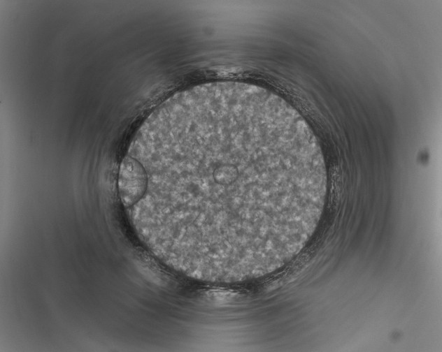 X0000116560650201001211224