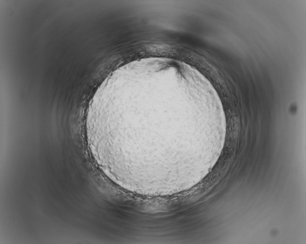 X0000116560651201001211224