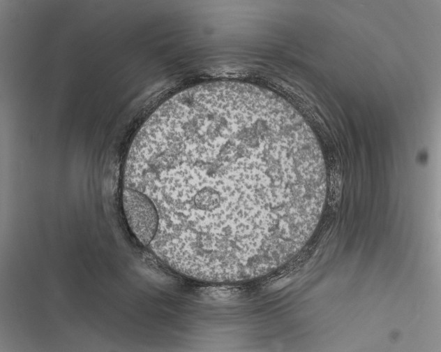 X0000116560652201001211224