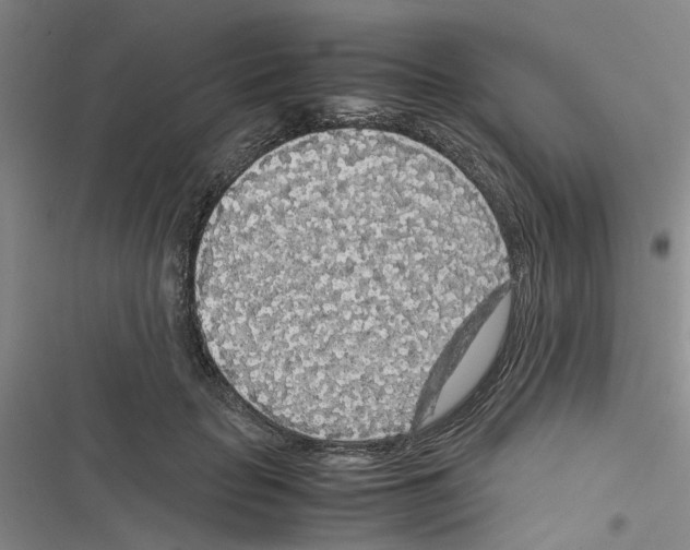 X0000116560653201001211224