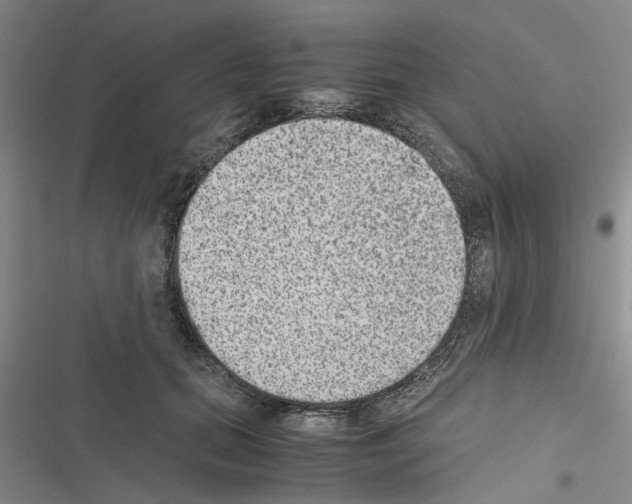 X0000116560655201001211224