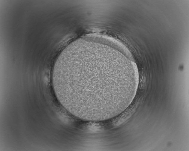 X0000116560656201001211224