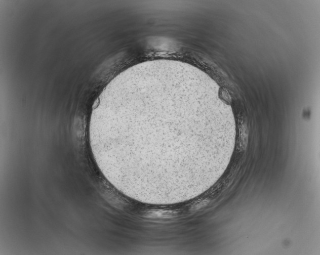 X0000116560657201001211224