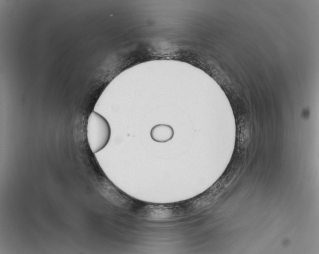 X0000116560658201001211224