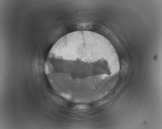 X0000116560659201001211224