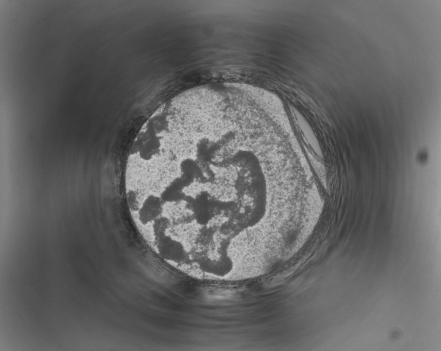 X0000116560661201001211224