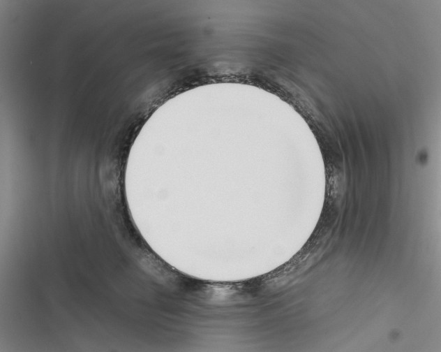 X0000116560662201001211224