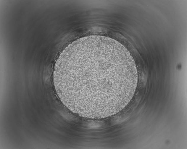 X0000116560663201001211224