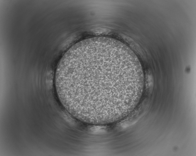 X0000116560664201001211224