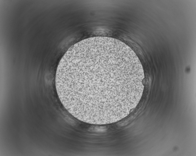 X0000116560665201001211224
