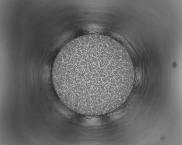 X0000116560667201001211224