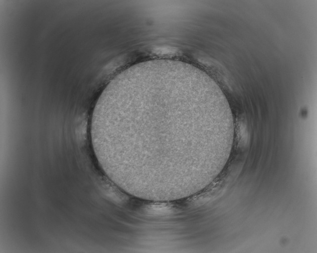 X0000116560668201001211224