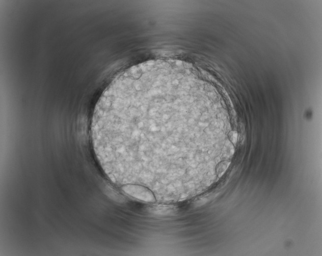 X0000116560670201001211224