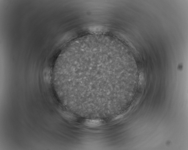 X0000116560671201001211224