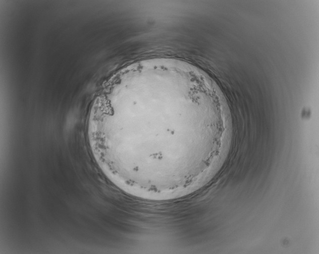 X0000116560672201001211224
