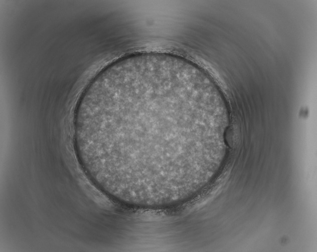 X0000116560673201001211223