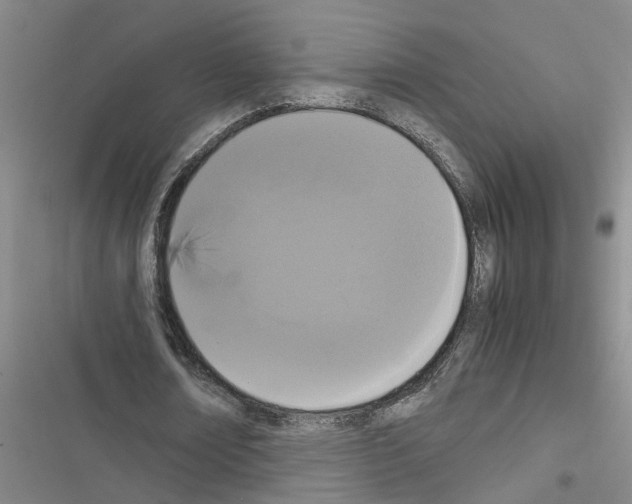X0000116560674201001211223